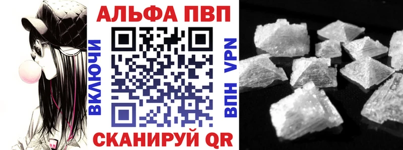 Альфа ПВП СК КРИС  Новозыбков 