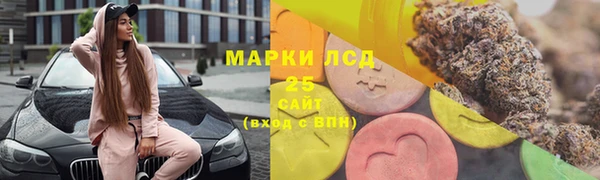 ГАЛЛЮЦИНОГЕННЫЕ ГРИБЫ Арсеньев