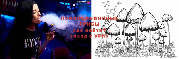 ГАЛЛЮЦИНОГЕННЫЕ ГРИБЫ Арсеньев