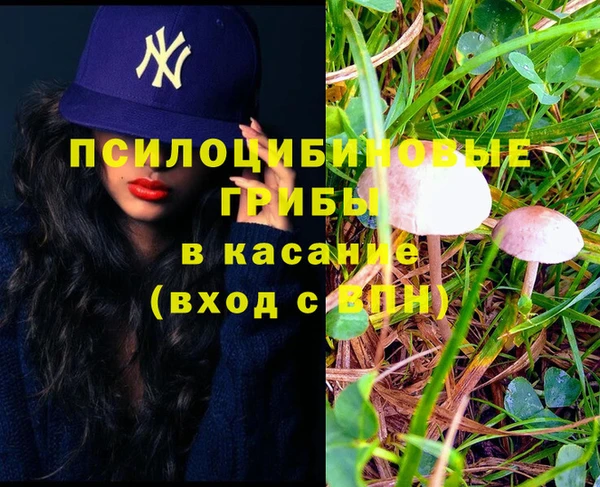 каннабис Аркадак