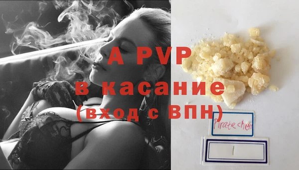 ГАЛЛЮЦИНОГЕННЫЕ ГРИБЫ Арсеньев