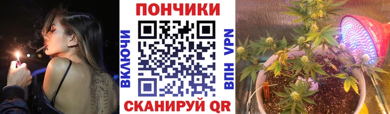 Канабис OG Kush  наркошоп  Новозыбков 
